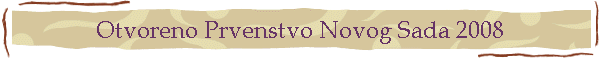 Otvoreno Prvenstvo Novog Sada 2008