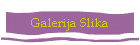 Galerija Slika