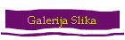 Galerija Slika
